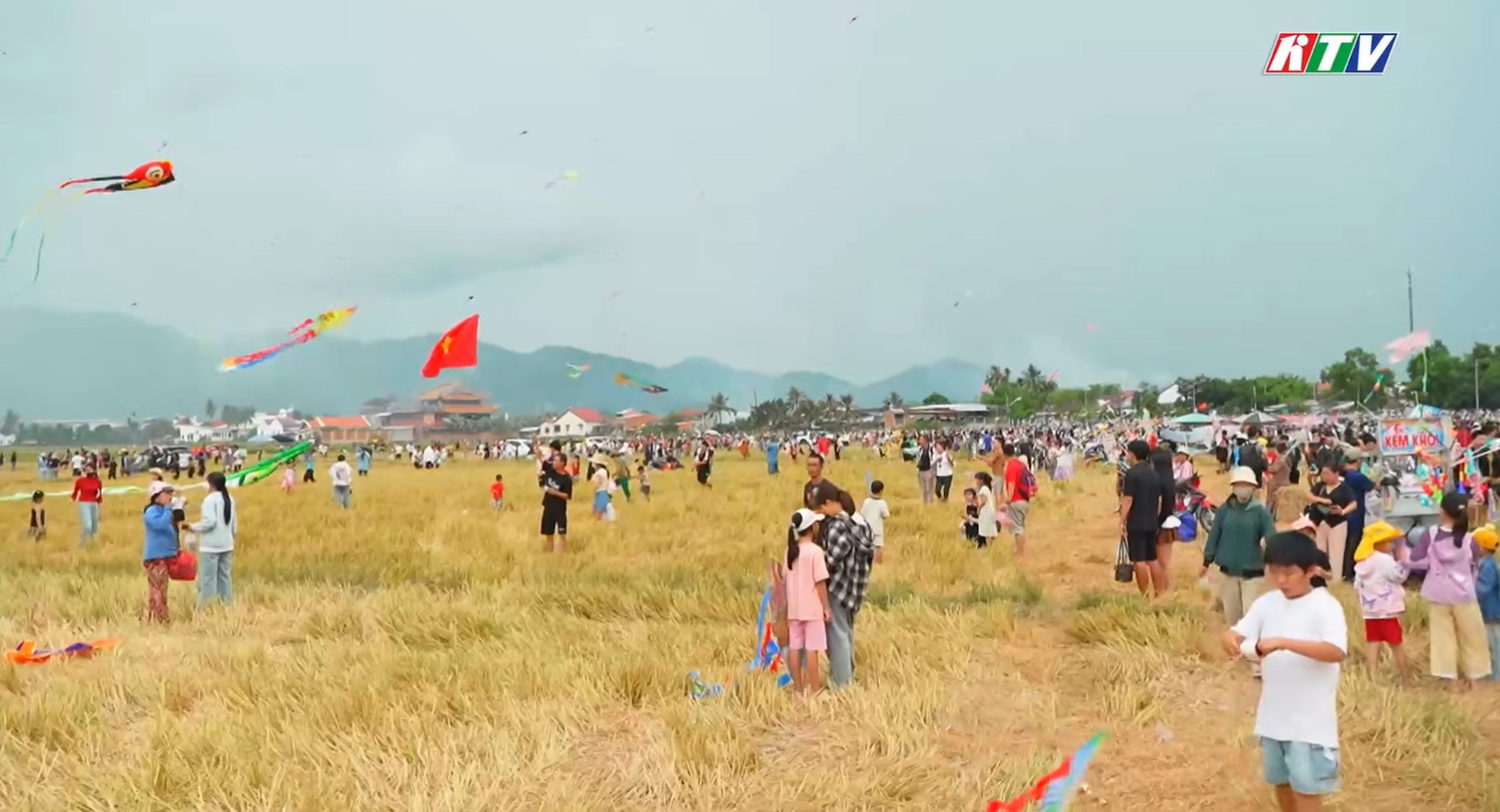 Dien Dien Kite Festival: Where Childhood Kites Take Flight - Hình 3